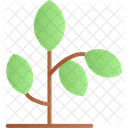 Plant Greenery Foliage Icon