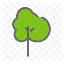 Plant Leaves Tree Icon