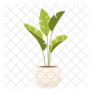 Plant Health Wellness Icon