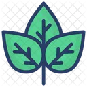 식물 생태학 식물 아이콘
