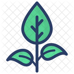 Plant  Icon