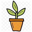 Plant Pot Plant Houseplant Icon