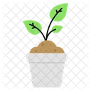 Plant Nature Leaf Icon