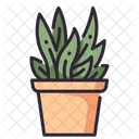 Plant Desk Plant Pot Icon