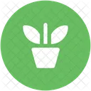 Plant Pot Nature Icon