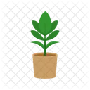 Flower Plant Potted Icon