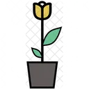 Plant Nature Flower Icon