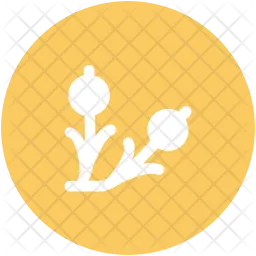 Plant  Icon