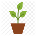 Plant Ecology Environment Icon