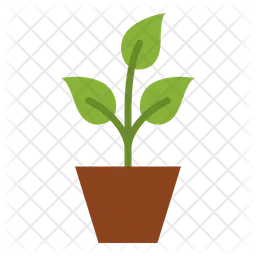 Plant  Icon