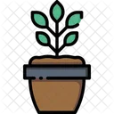 Plant Growth Spring Time Icon