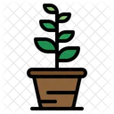 Botanic Gardening Plant Icon