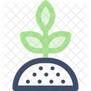 Sproutm Plant Sprout Icon