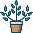 Plantv Plant Pot Icon