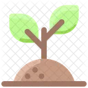 Spring Plant Green Icon