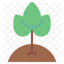 Ecology Plant Environment Icon