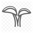 Leaf Plant Tree Icon