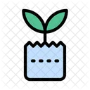 Plant Growth Agriculture Icon
