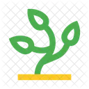 Plant Herb Bush Icon