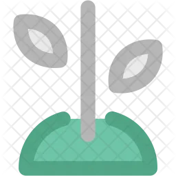 Plant  Icon