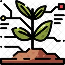 Plant Data Digital Icon