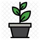 Plant Growth Ecology Icon