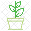 Plant Growth Ecology Icon