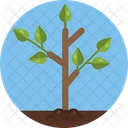 Plant Garden Leaf Icon