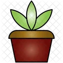 Plant Nature Rainforest Icon