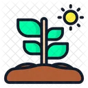 Plant Spring Nature Icon