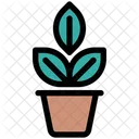 Plant  Icon