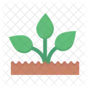 Plant Green Nature Icon