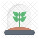 Plant Leaf Observatory Icon