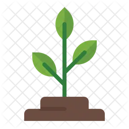 Plant  Icon