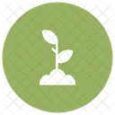Plant Nature Green Icon