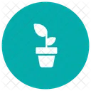 Plant Ecology Green Icon