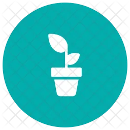 Plant  Icon