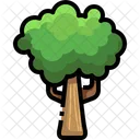 Plant Tree Green Icon