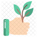 Plant Planting Green Icon