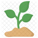 Plant Plant Growth Agriculture Icon