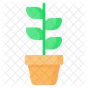 Plant Sprout Pot Icon