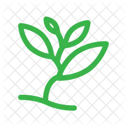 Plant  Icon