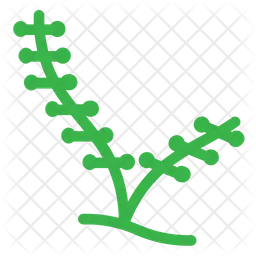 Plant  Icon