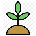 Plant Sprout Nature Icon