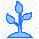 Plant Growth Flower Icon