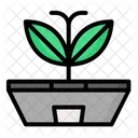 Plant Leaf Green Icon