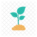 Plant Grow Growth Icon
