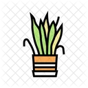 Plant Drying House Icon