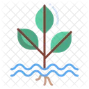 Plant Leaf Green Icon