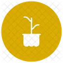 Growth Green Nature Icon